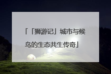 「狮游记」城市与候鸟的生态共生传奇