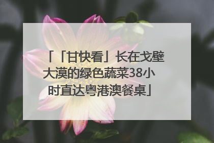 「甘快看」长在戈壁大漠的绿色蔬菜38小时直达粤港澳餐桌