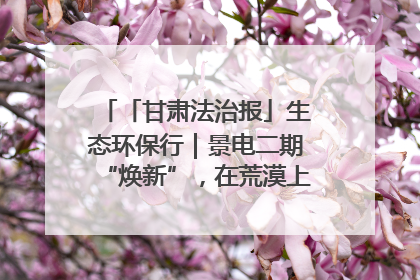 「甘肃法治报」生态环保行｜景电二期“焕新”，在荒漠上筑起一道绿色长城