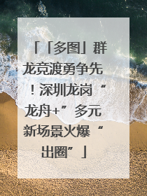 「多图」群龙竞渡勇争先！深圳龙岗“龙舟+”多元新场景火爆“出圈”