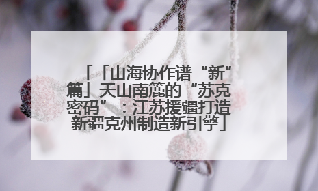 「山海协作谱“新”篇」天山南簏的“苏克密码”：江苏援疆打造新疆克州制造新引擎