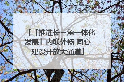 「推进长三角一体化发展」内联外畅 同心建设开放大通道