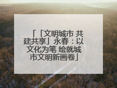 「文明城市 共建共享」永春：以文化为笔 绘就城市文明新画卷