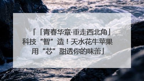 「青春华章·重走西北角」科技“智”造！天水花牛苹果用“芯”甜透你的味蕾