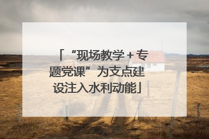 “现场教学＋专题党课”为支点建设注入水利动能