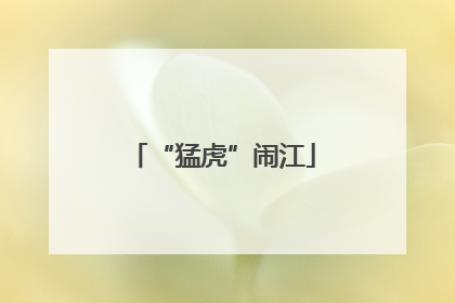 “猛虎”闹江