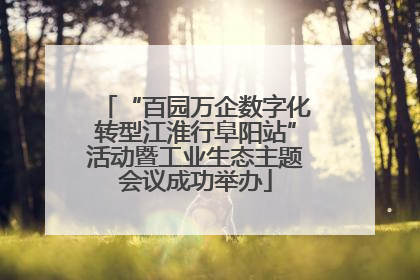 “百园万企数字化转型江淮行阜阳站”活动暨工业生态主题会议成功举办