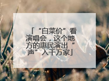 “白菜价”看演唱会，这个地方的惠民演出“声”入千万家