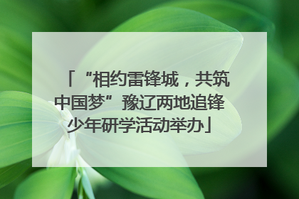“相约雷锋城，共筑中国梦”豫辽两地追锋少年研学活动举办