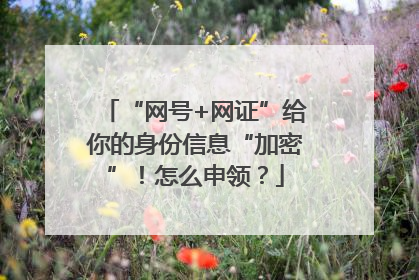 “网号+网证”给你的身份信息“加密”！怎么申领？