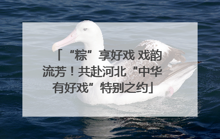 “粽”享好戏 戏韵流芳！共赴河北“中华有好戏”特别之约