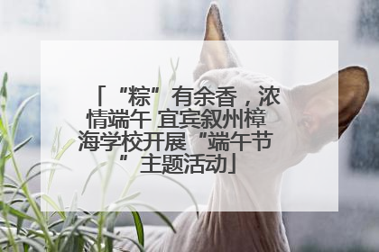 “粽”有余香，浓情端午 宜宾叙州樟海学校开展“端午节”主题活动