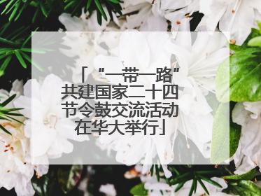 “一带一路”共建国家二十四节令鼓交流活动在华大举行