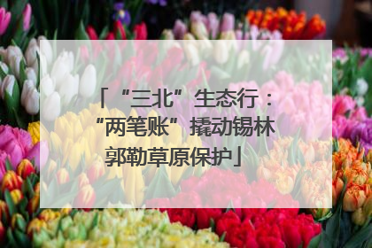“三北”生态行：“两笔账”撬动锡林郭勒草原保护