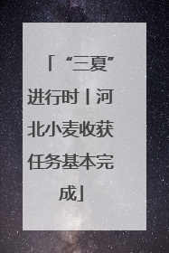 “三夏”进行时丨河北小麦收获任务基本完成