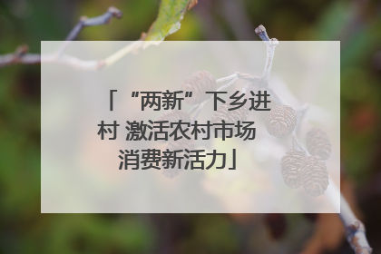 “两新”下乡进村 激活农村市场消费新活力