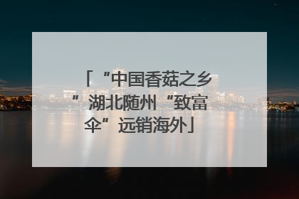 “中国香菇之乡”湖北随州“致富伞”远销海外