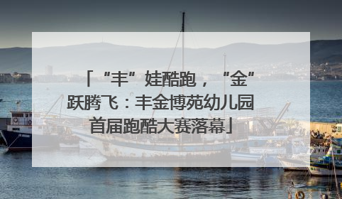 “丰”娃酷跑，“金”跃腾飞：丰金博苑幼儿园首届跑酷大赛落幕