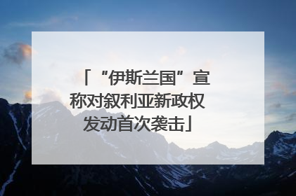 “伊斯兰国”宣称对叙利亚新政权发动首次袭击