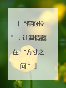 “停狗位 ”：让温情藏在 “方寸之间 ”