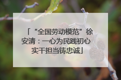 “全国劳动模范”徐安清：一心为民践初心 实干担当铸忠诚