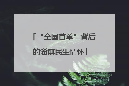 “全国首单”背后的淄博民生情怀