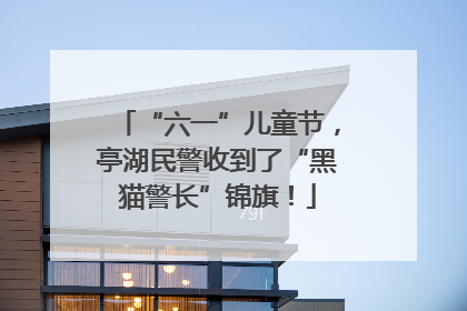 “六一”儿童节，亭湖民警收到了“黑猫警长”锦旗！