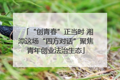 “创青春”正当时 湘潭这场“四方对话”聚焦青年创业法治生态