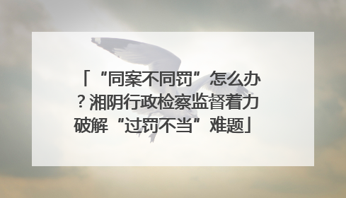 “同案不同罚”怎么办？湘阴行政检察监督着力破解“过罚不当”难题