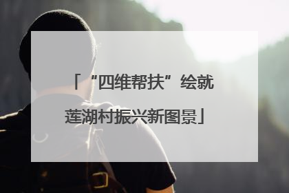 “四维帮扶”绘就莲湖村振兴新图景
