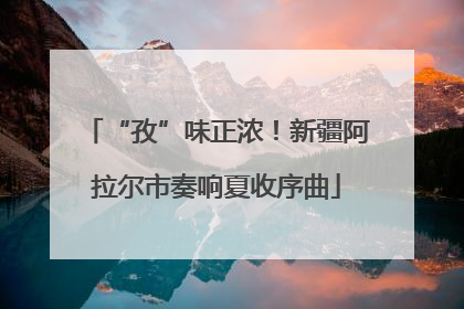 “孜”味正浓！新疆阿拉尔市奏响夏收序曲