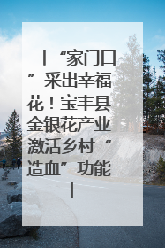 “家门口”采出幸福花！宝丰县金银花产业激活乡村“造血”功能