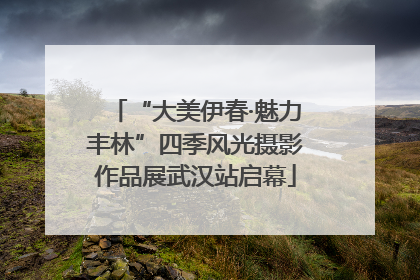 “大美伊春·魅力丰林”四季风光摄影作品展武汉站启幕