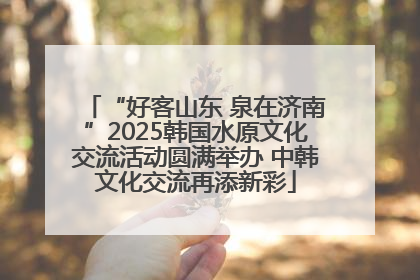 “好客山东 泉在济南”2025韩国水原文化交流活动圆满举办 中韩文化交流再添新彩