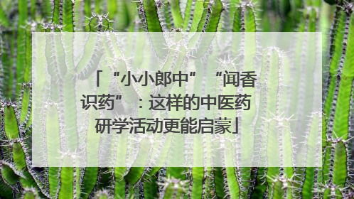 “小小郎中”“闻香识药”：这样的中医药研学活动更能启蒙