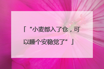 “小麦都入了仓，可以睡个安稳觉了”