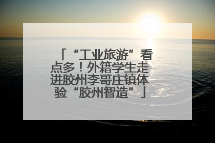 “工业旅游”看点多！外籍学生走进胶州李哥庄镇体验“胶州智造”