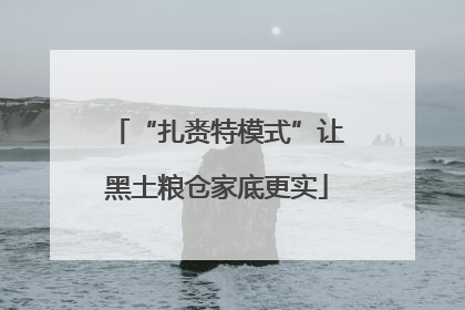 “扎赉特模式”让黑土粮仓家底更实