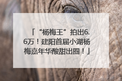“杨梅王”拍出6.6万！建阳首届小湖杨梅嘉年华酸甜出圈！