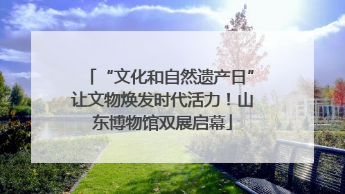 “文化和自然遗产日”让文物焕发时代活力！山东博物馆双展启幕