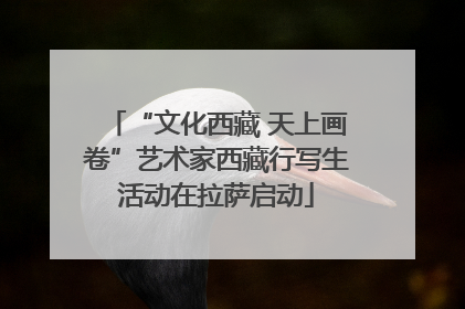 “文化西藏 天上画卷”艺术家西藏行写生活动在拉萨启动