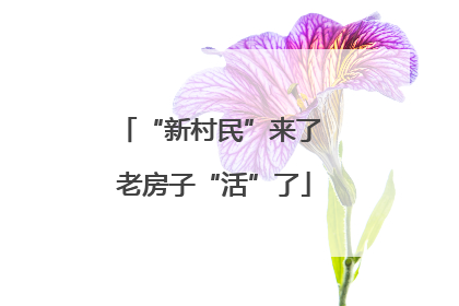 “新村民”来了 老房子“活”了