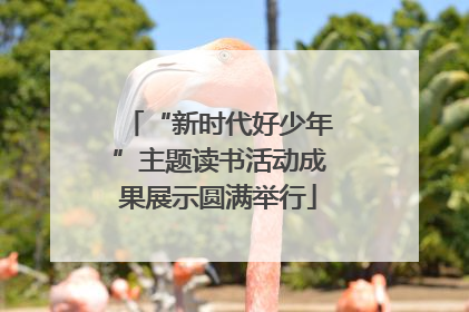 “新时代好少年”主题读书活动成果展示圆满举行