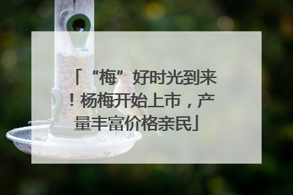 “梅”好时光到来！杨梅开始上市，产量丰富价格亲民