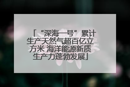 “深海一号”累计生产天然气超百亿立方米 海洋能源新质生产力蓬勃发展