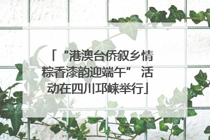 “港澳台侨叙乡情 粽香漆韵迎端午” 活动在四川邛崃举行