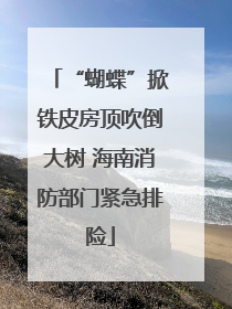 “蝴蝶”掀铁皮房顶吹倒大树 海南消防部门紧急排险