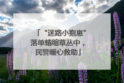“迷路小狍崽”落单蜷缩草丛中，民警暖心救助