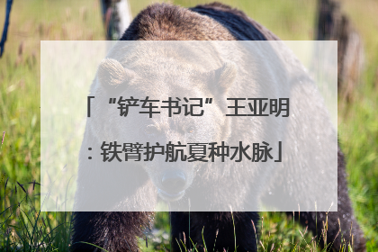 “铲车书记”王亚明：铁臂护航夏种水脉