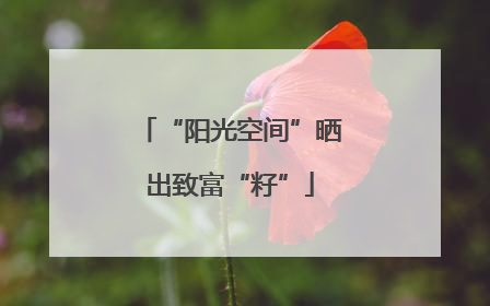“阳光空间”晒出致富“籽”